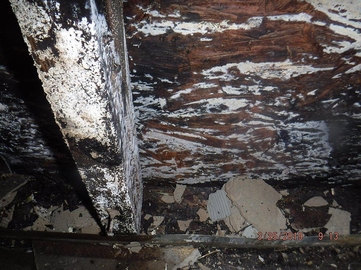 Daños de humedad y pudrición en piezas de madera de una vivienda
